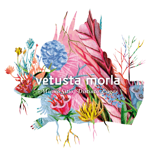 VETUSTA MORLA MISMO Sitio Distinto Lugar Vinilo Nuevo Firmado Por El  Grupo EUR 149,99 - PicClick FR